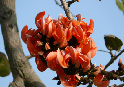 Slideshow Image 8