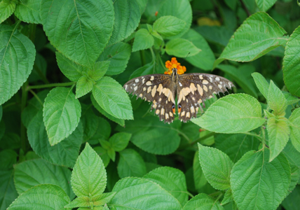 Slideshow Image 3