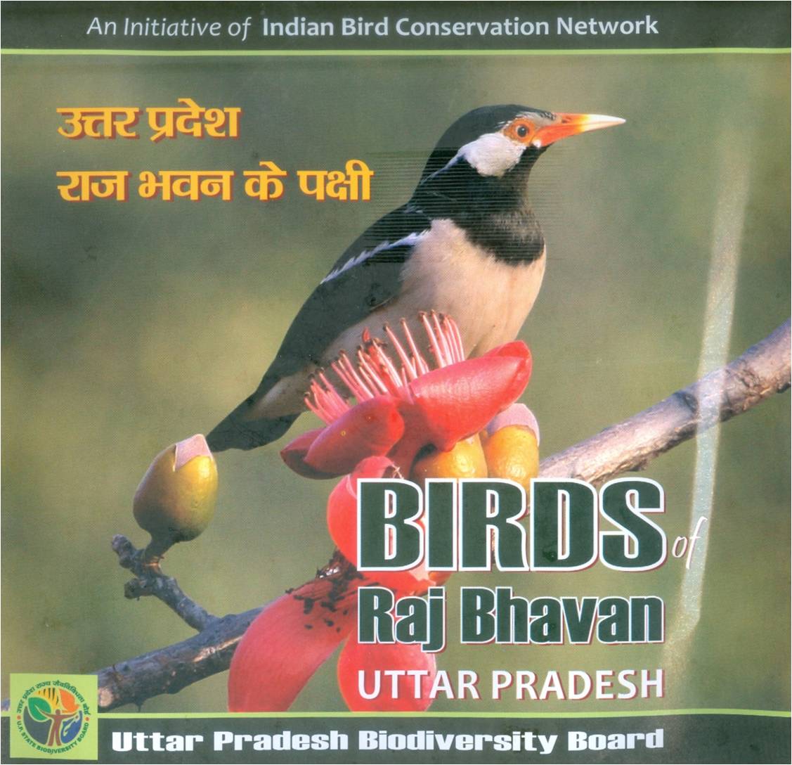 Birds of Raj Bhavan
