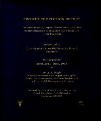 Completed project report
